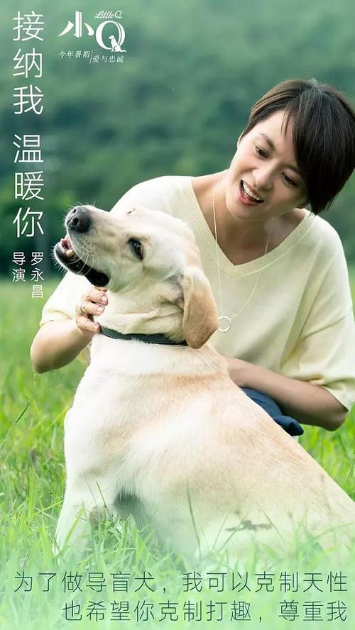 North Carolina State University at Raleigh成绩单